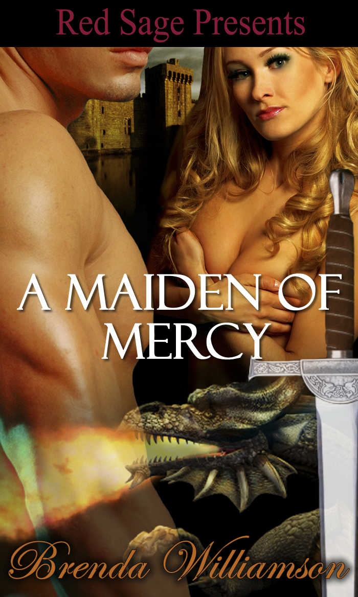 Title details for A Maiden Of Mercy ~  Dragon Fighter Romance ~ Book 2 by BRENDA WILLIAMSON - Available